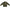 CHAQUETA CAMUFLADA PARADISE