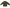 CHAQUETA CAMUFLADA PARADISE