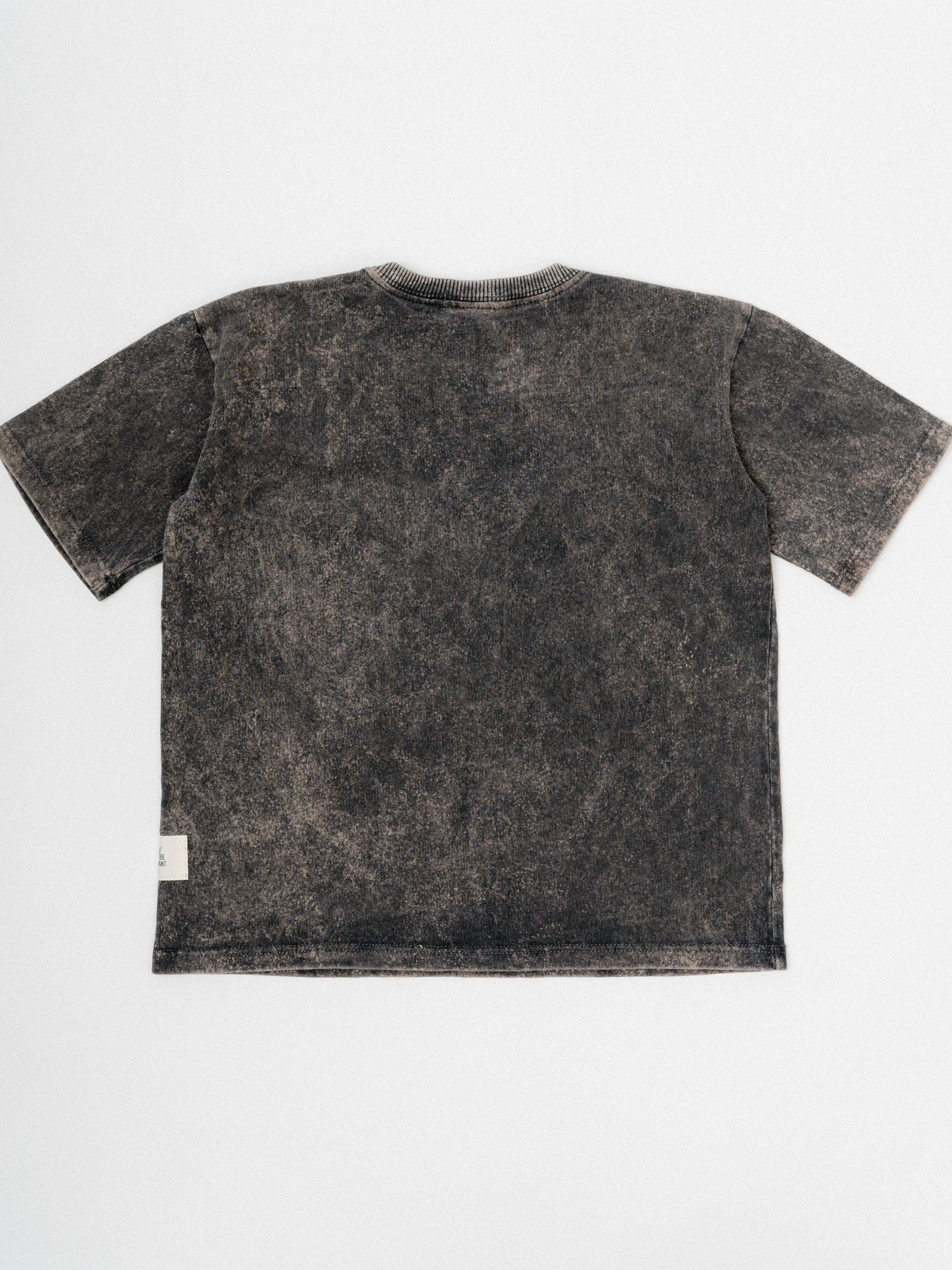 Camiseta Little Dude